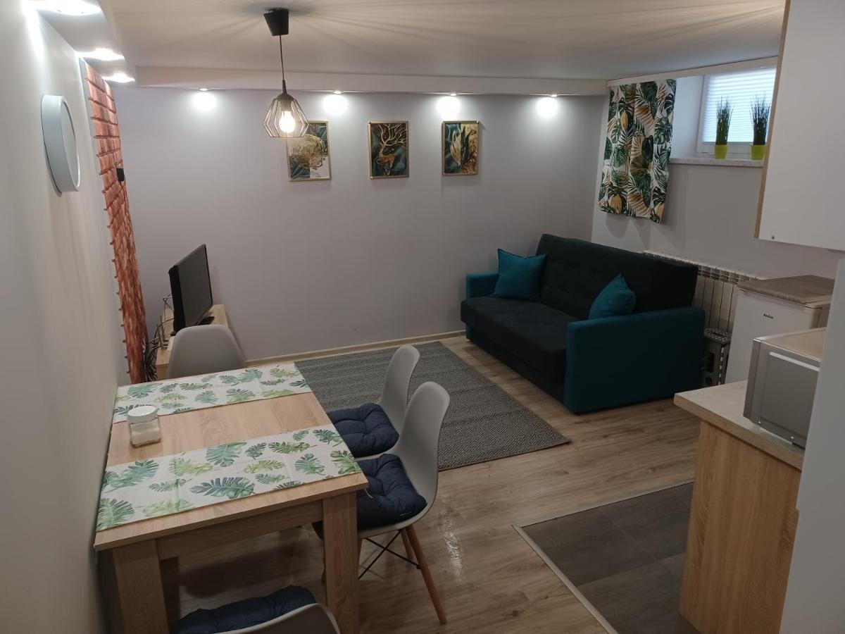 Studio Familly-Nocleg-Zator- Wadowice-Oswiecim-Krakow Bachowice 外观 照片