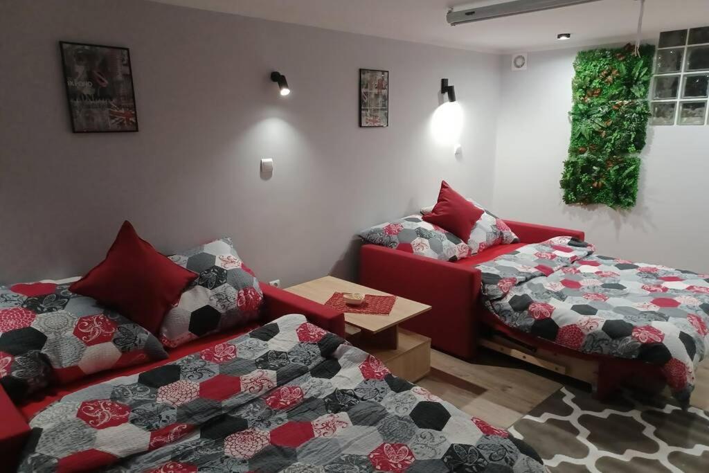 Studio Familly-Nocleg-Zator- Wadowice-Oswiecim-Krakow Bachowice 外观 照片