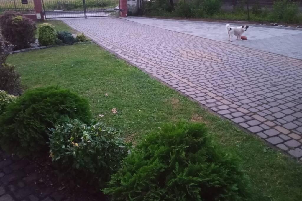 Studio Familly-Nocleg-Zator- Wadowice-Oswiecim-Krakow Bachowice 外观 照片